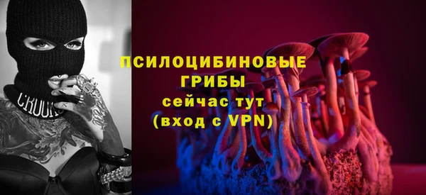 spice Богородицк
