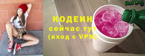 spice Богородицк