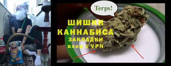 spice Богородицк