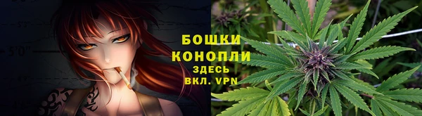 стафф Богданович