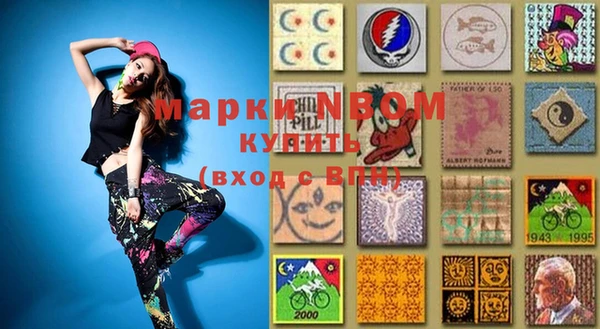 spice Богородицк