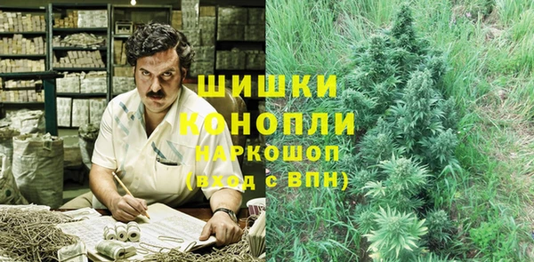spice Богородицк