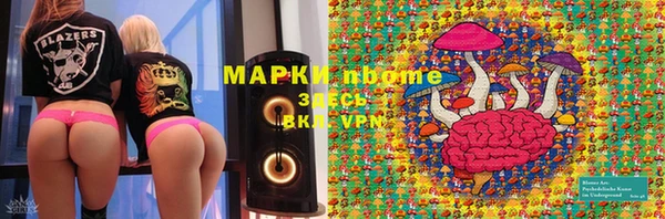 стафф Богданович