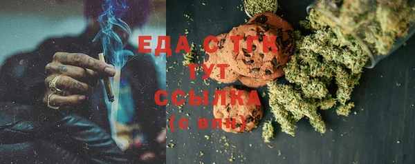 spice Богородицк