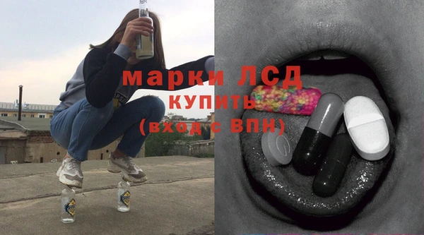 spice Богородицк