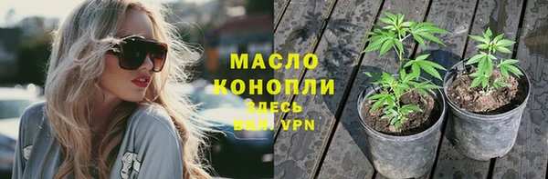 spice Богородицк