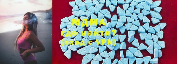 spice Богородицк