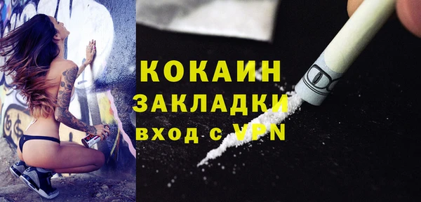 spice Богородицк