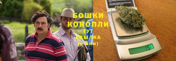 стафф Богданович