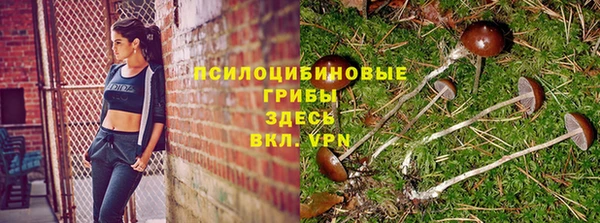 стафф Богданович