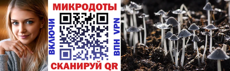 Галлюциногенные грибы мухоморы гидра вход Няндома